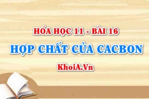 Tính chất hoá học của cacbon monooxit CO, cacbon đioxit CO2, axit cacbonic và muối cacbonnat - Hoá 11 bài 16